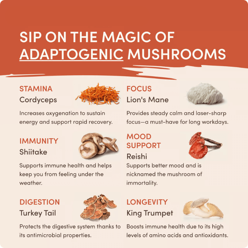 Mushroom Coffee bag contains - 180g 30 Serves