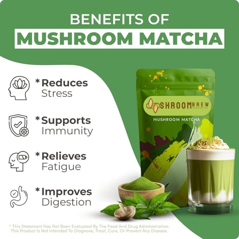 ShroomBrew Mushroom Matcha (180g, 30 Serves)